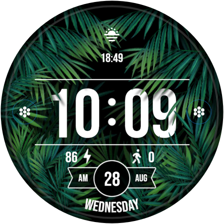 Free Watch Face